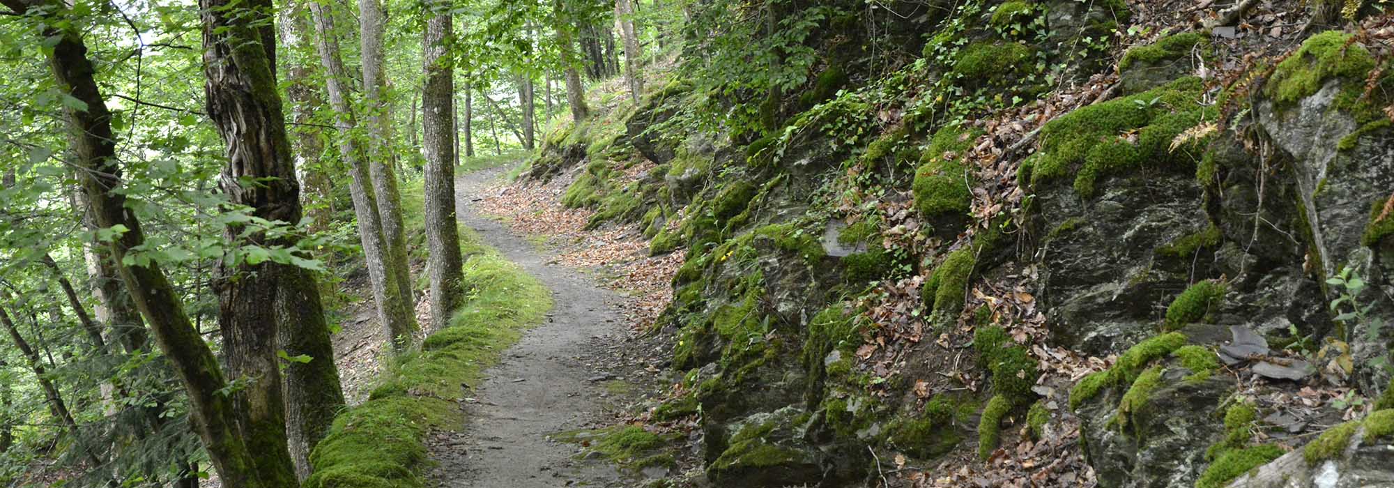 Wanderweg Bad Bertrich GeoRoute