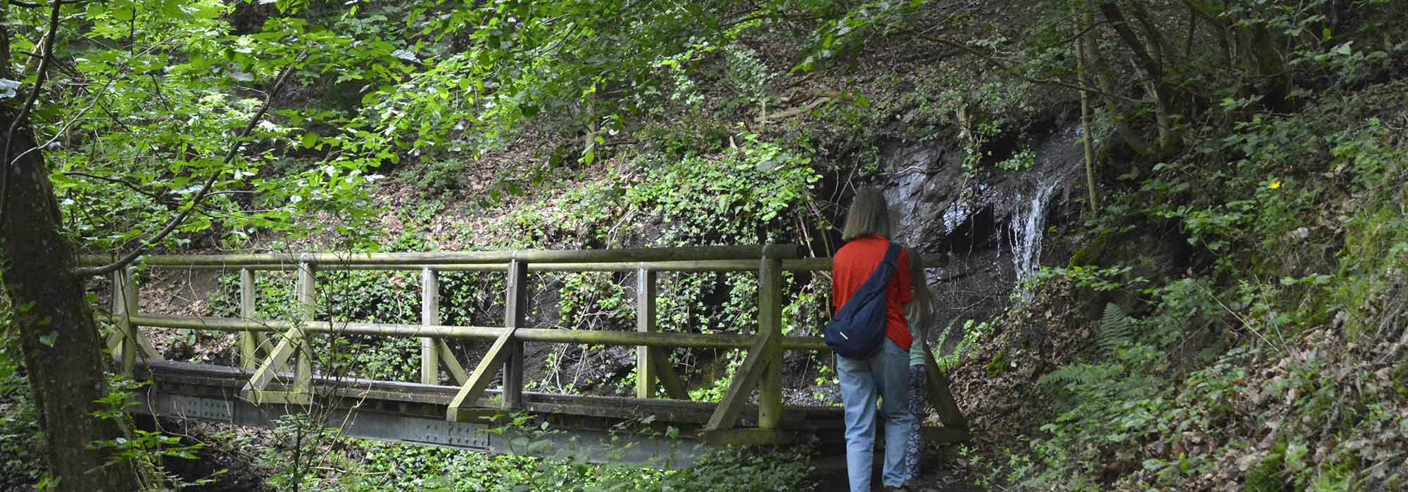 Wanderweg Bad Bertrich GeoRoute